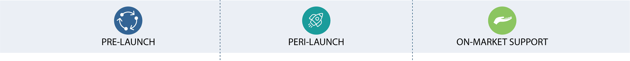 Phases: Pre-Launch, Peri-Launch, and On-Market Support