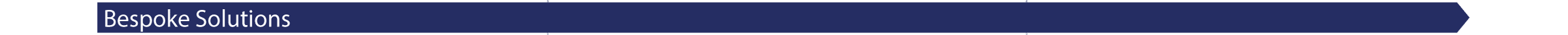 Bespoke Solution (Pre-Launch, Peri-Launch & On-Market Support)