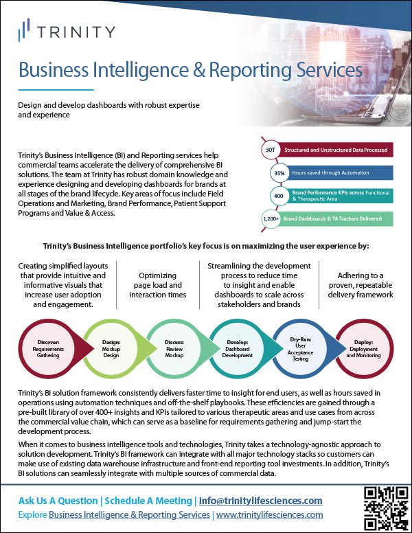 Business Intelligence & Reporting Services Brochure cover