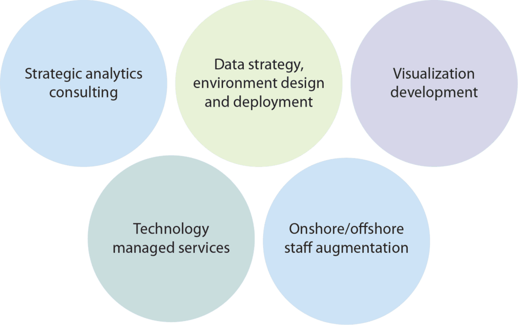 Strategic analytics consulting; Data Strategy, environment design and deployment; Visualization development; Technology managed services; Onshore/offshore staff augmentation