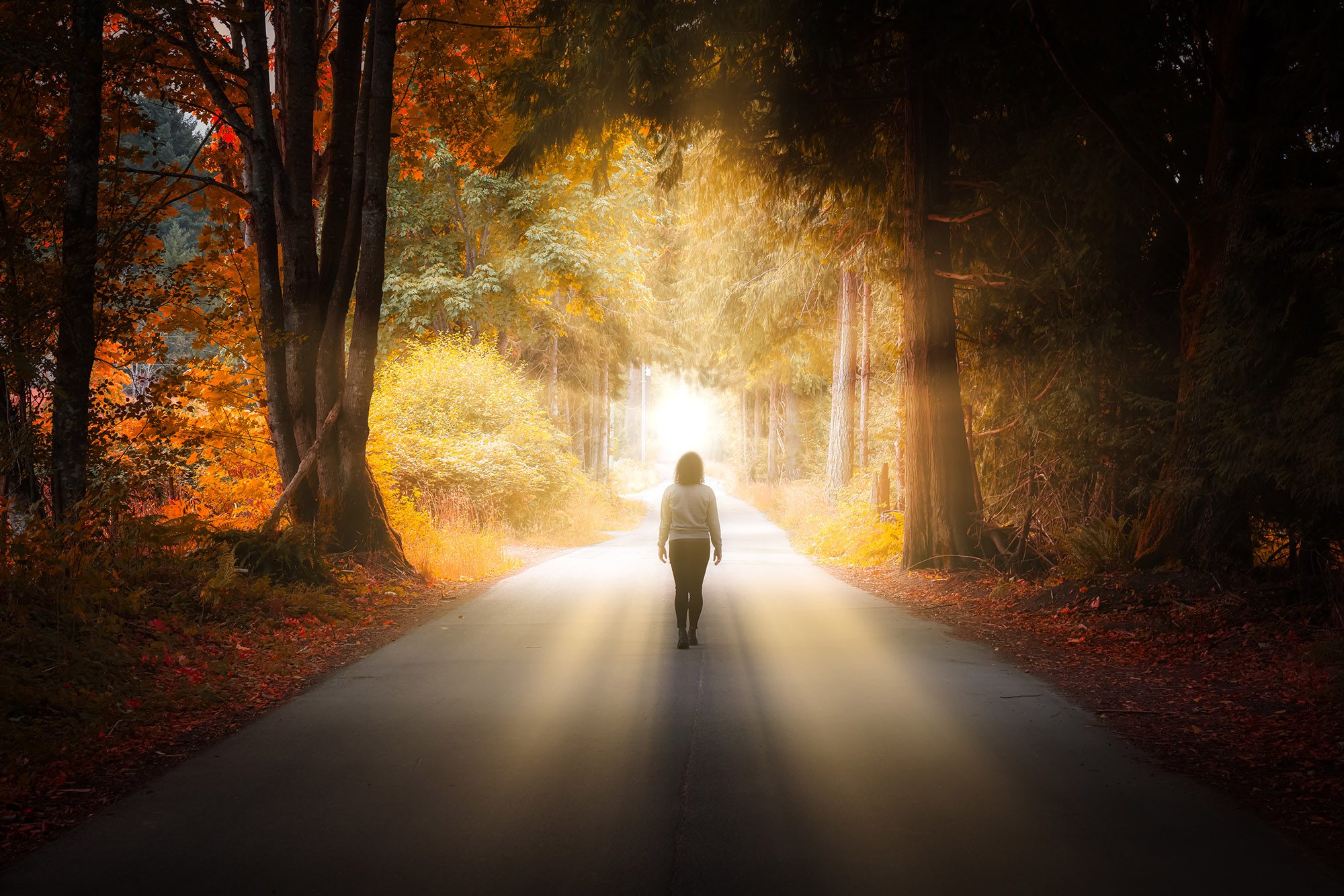 Patient walking down a forest path