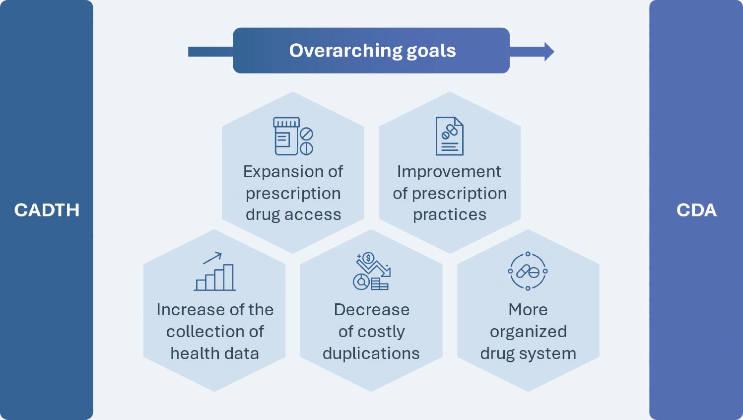 Overarching goals: expansion of prescription drug access, improvement of prescription practices, increase of the collection of health data, decrease of costly duplications and a more organized drug system.