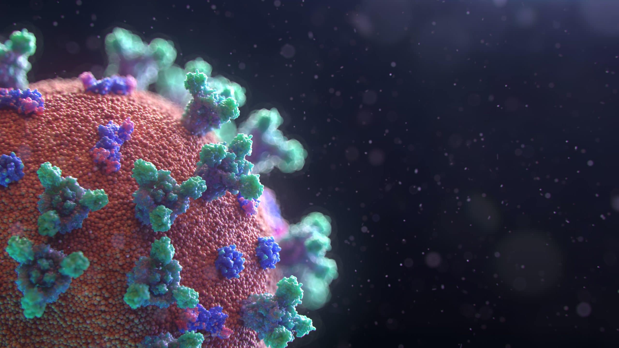 Close-up illustration of a COVID-19 virus