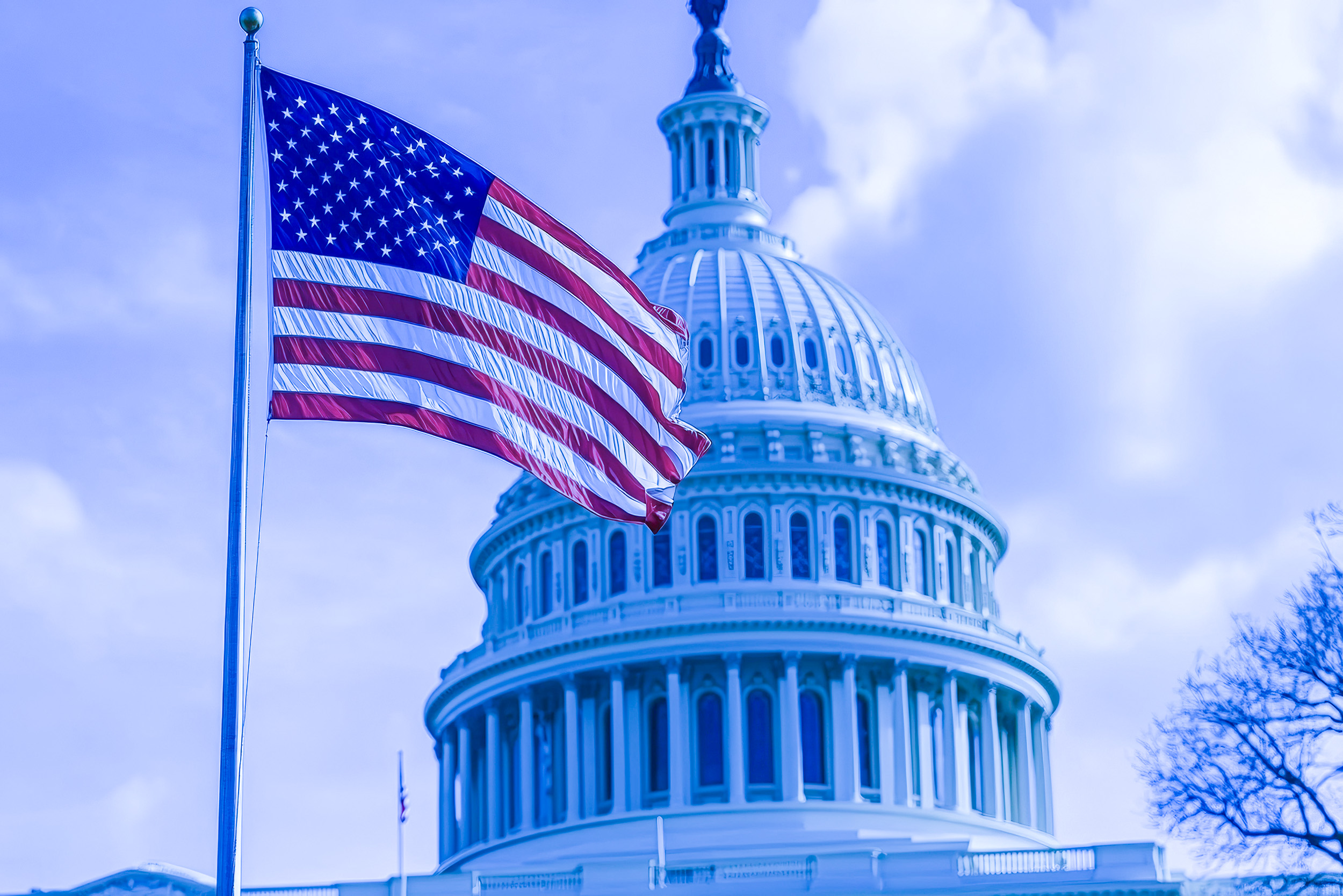 US Capital Building with Flag